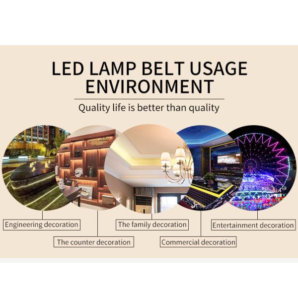 10MM pcb 48leds/m 9.6W 24VDC SMD 5050 LED Strip Light