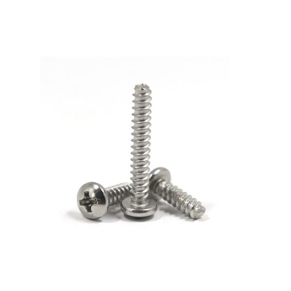 OEM Customized Service Provided DIN Stainless Steel Pan Head Self-Tapping Screws