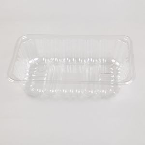 4.5cm Disposable Veggie Tray