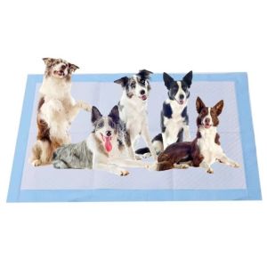 Quality Disposable Puppy Training Mats Dog Pee Pads Rapid Absorption 45x60cm 60x60cm 60x90cm wholesale