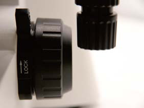 Coarse / Micro Coaxial Focusing Upright Biological Microscope B70F