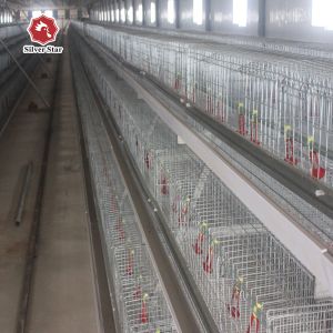 Cheap Baby Chick Cage With Full Automatic System For Farm for sale