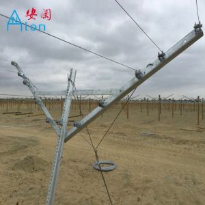 Popular Galvanized Metal Open Gable Trellis System 1460mm 1120mm Length