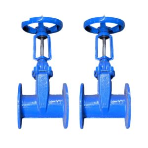 CI/DI/WCB Z41x Flanged Stem Gate Valve Soft Seal Ductile Iron Elastic Seat Seal