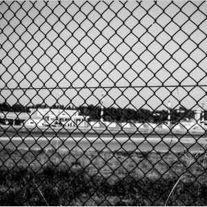 wholesale 8 feet tall new design galvanized pvc coated chain link fence