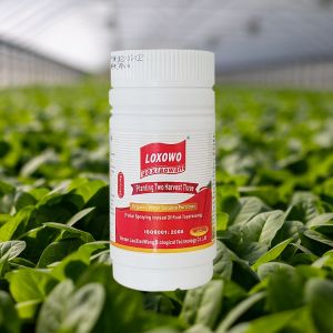 Cheap Excellent Agricultural Organic Water Soluble Fertilizer Fertilisers For Plant Root Enhancer for sale