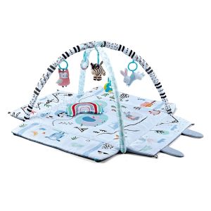 Baby Gym Play Mat for Sensory and Motor Skill Development Language Discovery,