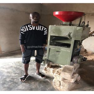 Compact White Rice Processing Rubber Rollers Rice Milling Machine with 220V/380V