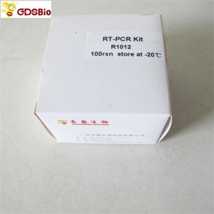 Cheap RNA Reverse Transcriptase RT-PCR Reagents First Strand CDNA Synthesis Kit R1011 R1012 for sale