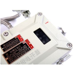 ATEX Certified Flameproof Emergency Light With Battery Zone 1 2