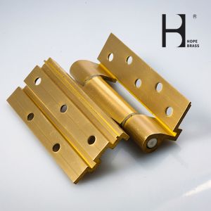 Golden Corrosion Resistant Solid Brass Hinges SGS Certification For Door