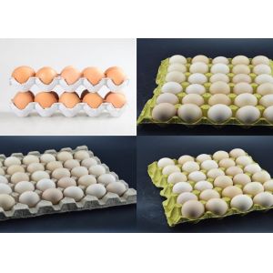 High Production Capacity recycle waste paper Apple Tray/Egg Tray Production Line