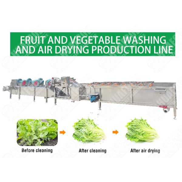 Vegetable Washing and Drying Machine Fresh Fruit Vegetable Processing Units Low Consumption High Efficiency Dried Products 5.1KW
