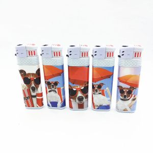 Cheap Disposable Electric Lighter Model NO. DY-F016 with Windproof Design and Good for sale