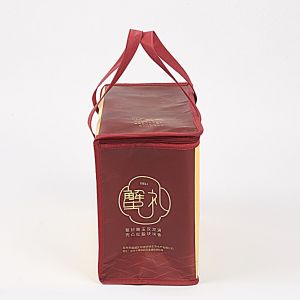 Garment Custom with Zipper Tote Laminated Cooler Nonwoven Bag