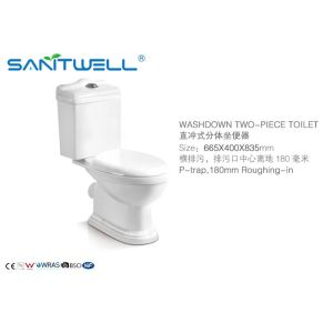 Dual-Flush Modern Ceramic Toilet Two Pieces WC in Bathroom White