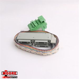 FBM2/36 P0500RG FOXBORO Termination Cable Assembly