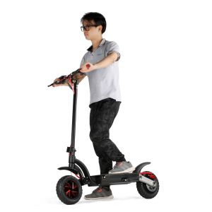 10 inch 700w dual motor 2 wheels folding electric scooter with double battery