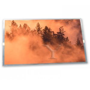 MV238FHB-NF0 new and original 23.8 inch lcd panel 1920*1080 good price lcd