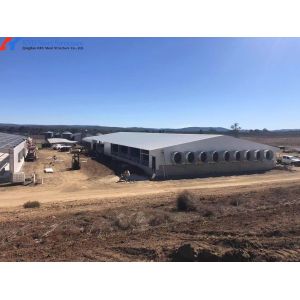 Modern Piggery House Steel Structure Metal Cattle Shed Customized Dimension