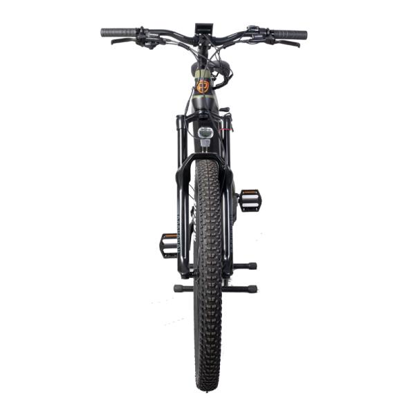 Fast Speed Central Motor Electric Mountain Bike with Hidden Battery and 160 N.M Torque