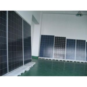 Crystalline Silicon Solar Cells Panel 5w-300w Polycrystalline Pv Module