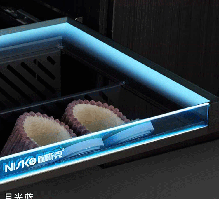 Under Cabinet Shoe Organizer Pull Out 2 Shelves With LED Light