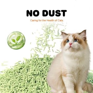Factory Supplier Low Dust Fast Clumping Eco-Friendly Odor Inhibition Easy