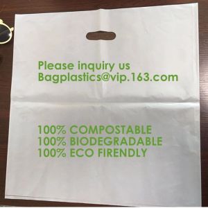 Biodegradable Compostable Plastic Courier Shipping Envelope Custom Matte Black