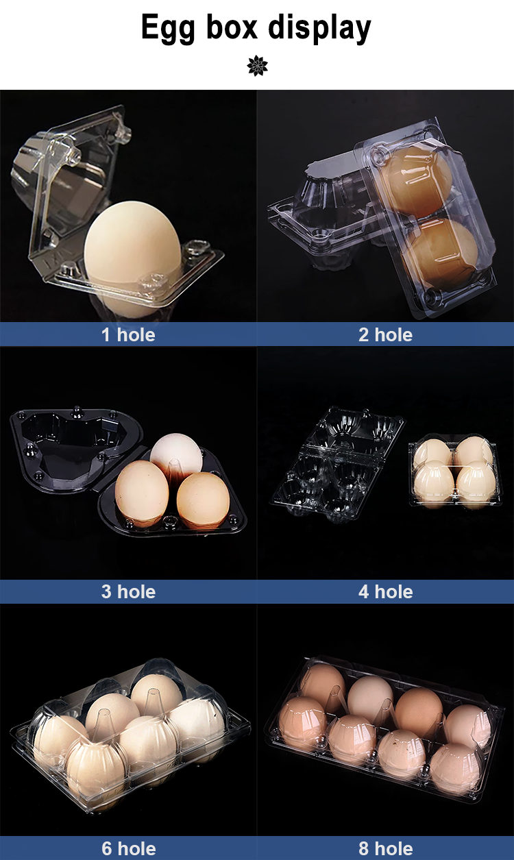 Transparent Plastic Egg Trays Egg Box Free Shipping Plastic Egg Tray with Handle