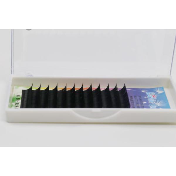 Alluring B Curl Eyelash Individual Extensions 13mm/14mm Sterilized PBT Material