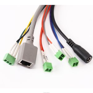 Customized Design 20AWG Wire Harness with 100% Testing Inspection and RoHS