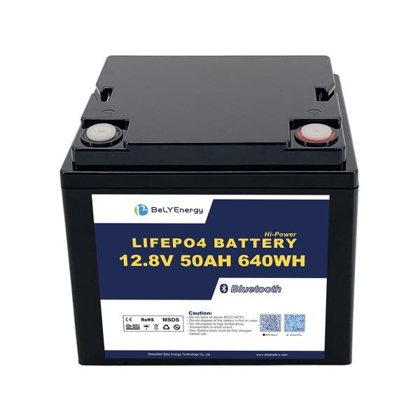 LiFePo4 Battery with and Smart BMS for Fishing Boat Starting or Energy Storage