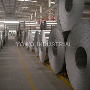 Extra Width 3000mm 3004 H14 Aluminium Coil Sheet