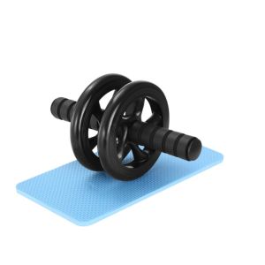 double wheel ab roller single or double wheel ab roller buy double wheel ab
