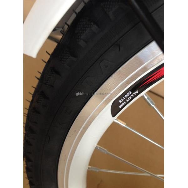 Lightweight 20 Inch Adult Unisex Folding Bicycle with 7 Speed Aluminium Lasco Wheelset