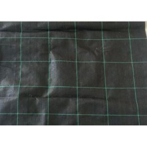 Black Color Geosynthetic Fabric PP 130g 1m Width Weed Barrier For Anti Grass