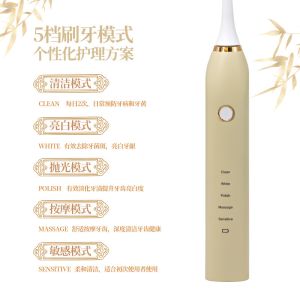 Antibacterial USB Electric Sonic Toothbrush With Timer For Adults Portable
