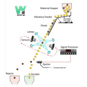 Intelligent Pecan Color Sorter With high speed RGB Nir Cameras