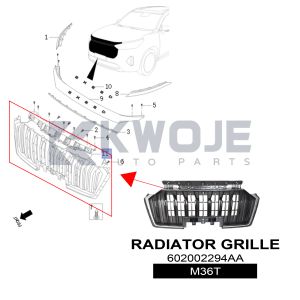 OEM EXEED M36T Radiator Grille In Car 602002294AA
