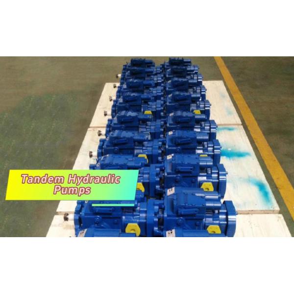 Hydraulic tandem pump customization