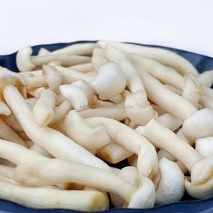 Natural Organic Snacks White Beech Mushroom Healthy Vegetable VF Shimeji