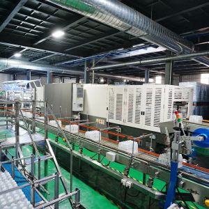 Automatic High Capacity Shrink Packer with Electronic Speed Control for Food and