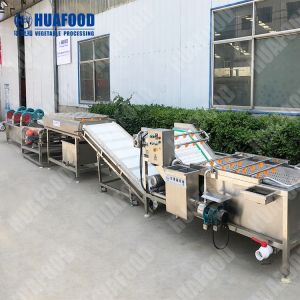 Garlic Slicing Machine Dehydration Line Complete Tomato Processing Line Mango