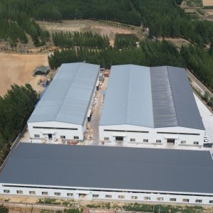 Prefabricated Steel Structure Warehouse Workshop Q355 Customized