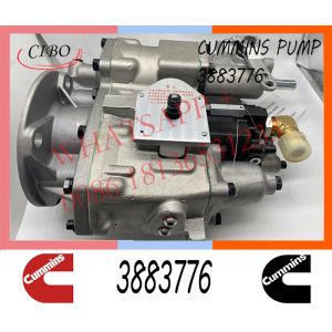 Cummins NT855 M11 Diesel Engine Fuel Injection Pump 3883776 4951390
