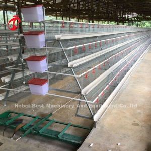 User Friendly Poultry Layer Cage For Hassle Free Poultry Rearing Adela