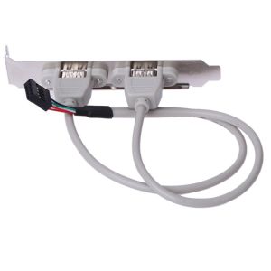 2 USB 2.0 Panel Female Connectors to 10 Pin 2.0mm , 35cm(12 inchs) length