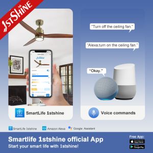 Quiet DC Motor Indoor Decorative Solid Wood Ceiling Fan With Light For Smart