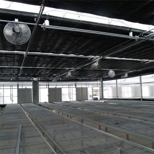 Single Span Tunnel Greenhouse Blackout System Hydroponic System Extreme Light